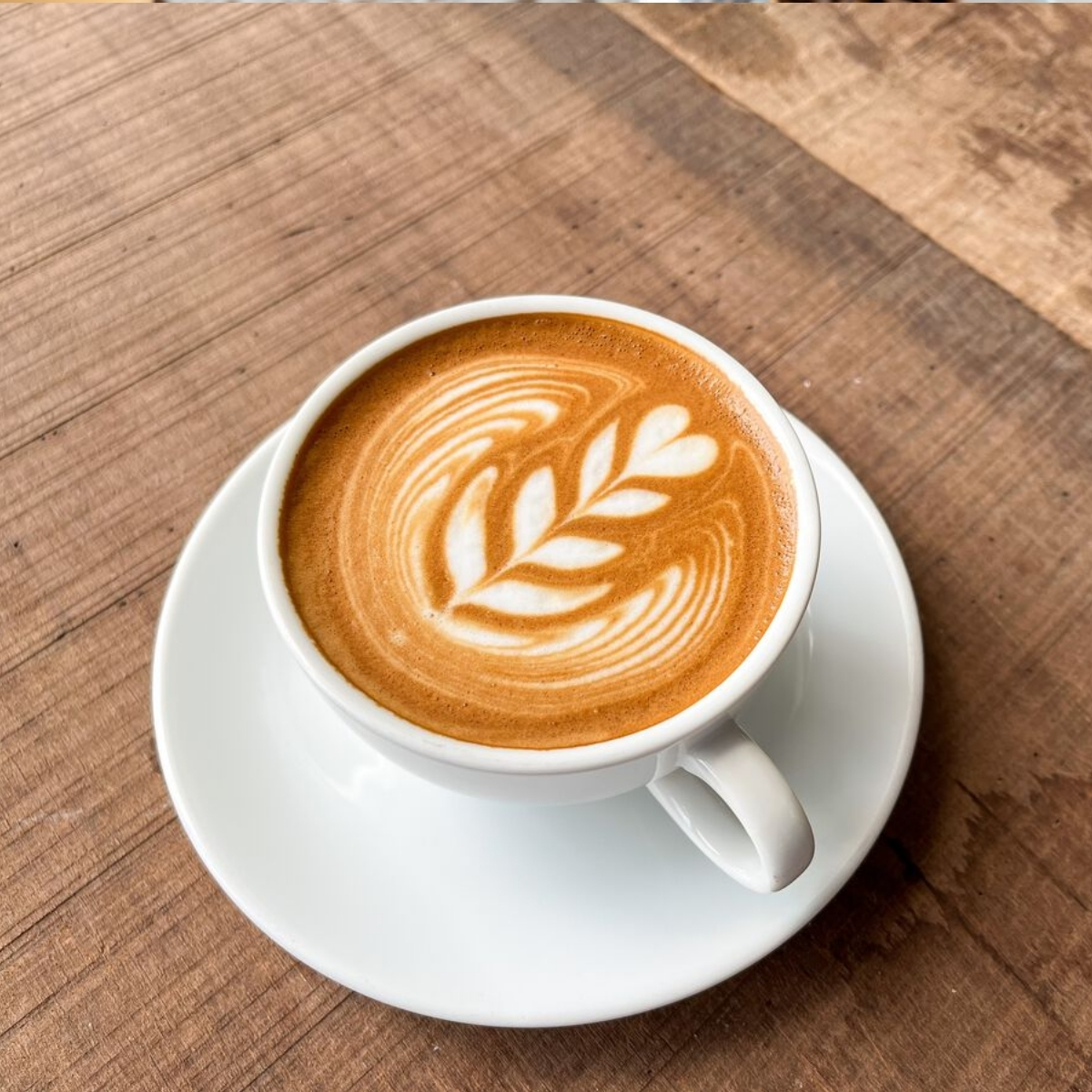 Mokka Special Caffe